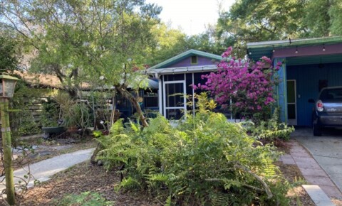 Apartments Near University of South Florida-Sarasota-Manatee Furnished Houseshare, inc everything. Avail May 6. 2 Bedrooms .02 mi to RCAD for University of South Florida-Sarasota-Manatee Students in Sarasota, FL