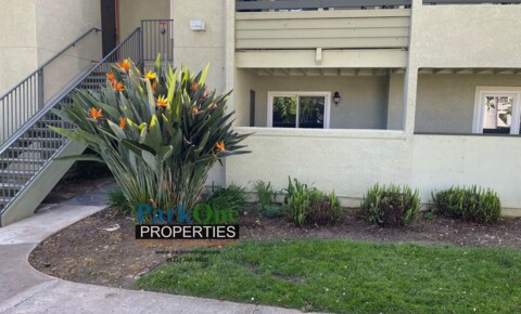 Apartments Near Concord Nicely Updated Ground Floor Condo Available Now! for Concord Students in Concord, CA