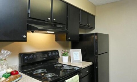 Apartments Near Conroe 17710 Red Oak Drive for Conroe Students in Conroe, TX