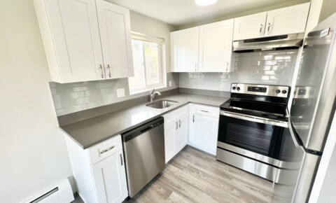 Apartments Near MSU Denver ★ UPFRONT SPECIALS! $1300 CREDIT AND WAIVED ADMIN FEE! ★ Completely Renovated FIRST Floor One Bedroom With Dishwasher In Lakewood! for Metropolitan State University of Denver Students in Denver, CO