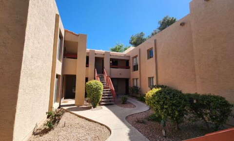 Apartments Near Thunderbird 2 Bedroom Condo in the Points West Community Near W Peoria Ave and N 31st Ave! for Thunderbird School of Global Management Students in Glendale, AZ