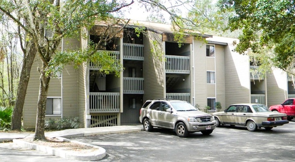 2BR/2BA Condo in Treehouse Village - AVAILABLE EARLY AUGUST 2024! 