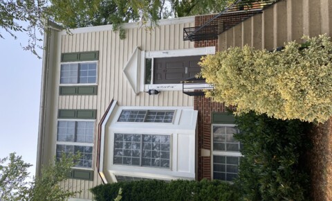Houses Near Strayer University-Loudoun Campus PRICE DECREASE! 4 Bed Townhouse for Rent for Strayer University-Loudoun Campus Students in Ashburn, VA