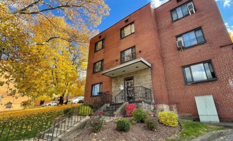 Apartments Near CMU #12-Available June 1, 2024; Lease ends May 29, 2025 for Carnegie Mellon University Students in Pittsburgh, PA