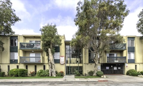 Apartments Near Long Beach 14019 Cerise for Long Beach Students in Long Beach, CA