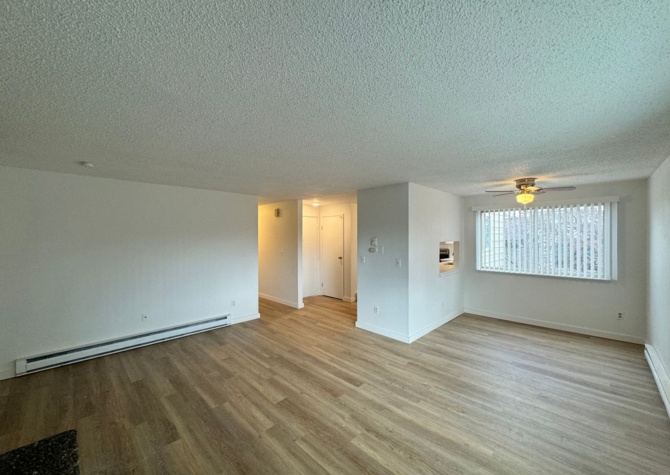 Houses Near Stunning 2 Bed, 1 Bath w/ Laundry & AC in Lincoln Heights!