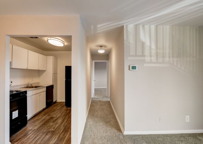 Apartments Near Spacious 2 Bedroom Apartment - Move-In Special Pricing