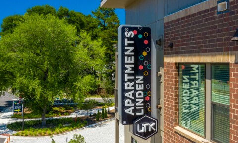 Apartments Near UNC Link Apartments® Linden for University of North Carolina Students in Chapel Hill, NC