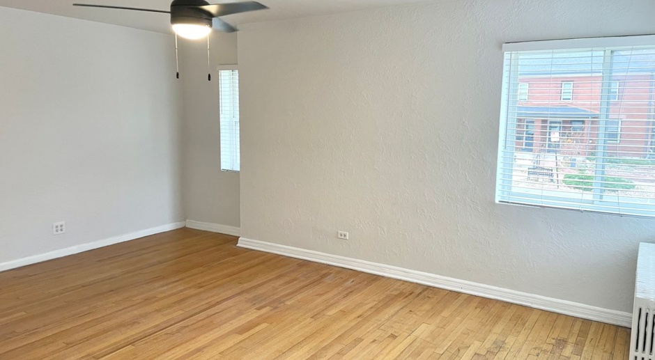 Newly Renovated 1 Bed Apartment