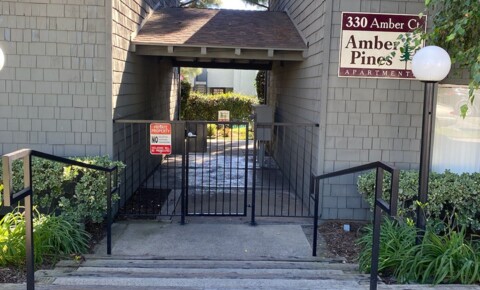 Apartments Near Ontario 142 - Amber Pines for Ontario Students in Ontario, CA