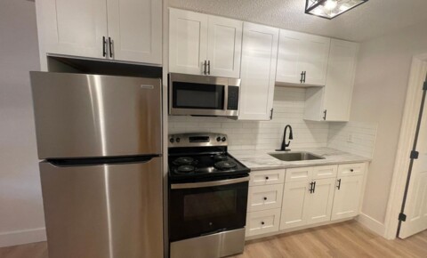Apartments Near Gainesville NEWLY RENOVATIONED!! for Gainesville Students in Gainesville, FL