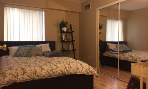 Apartments Near Lowell Spacious 2 bedroom unit with a view! for Lowell Students in Lowell, MA