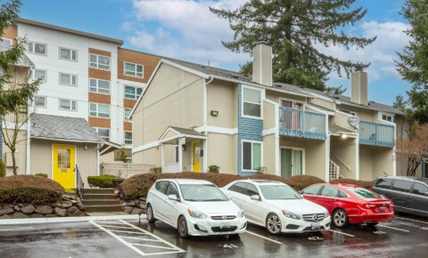 Apartments Near SU Spacious One Bedroom with Fireplace!  Free Parking!   for Seattle University Students in Seattle, WA