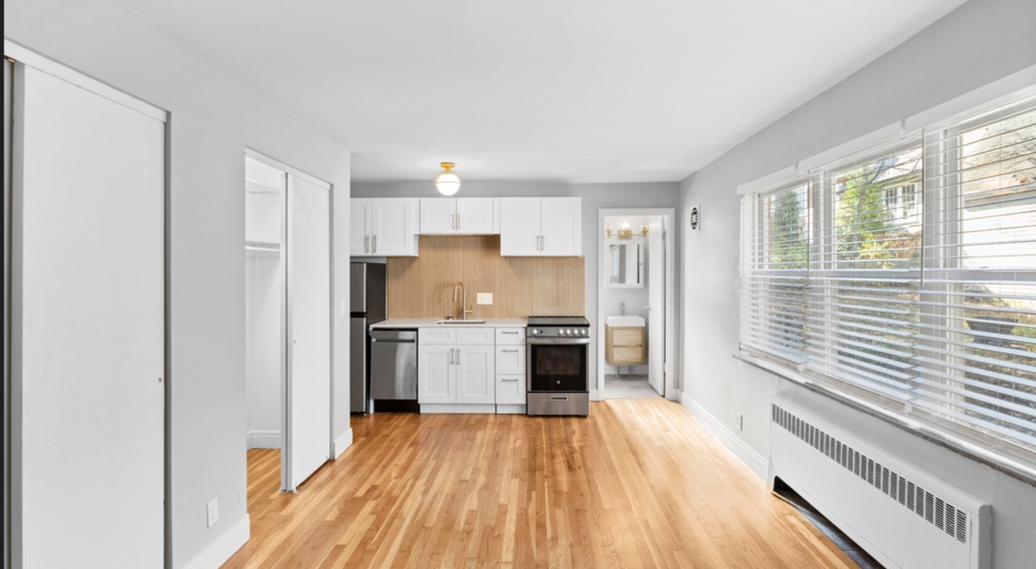 $250 OFF SPECIAL! Gorgeously Renovated Studios Available in Hyde Park