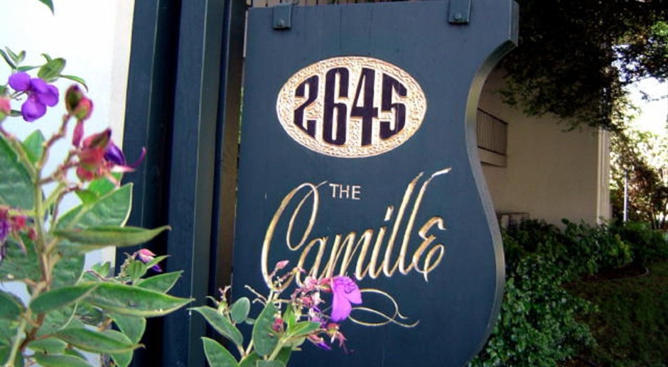 The Camille Apartments 