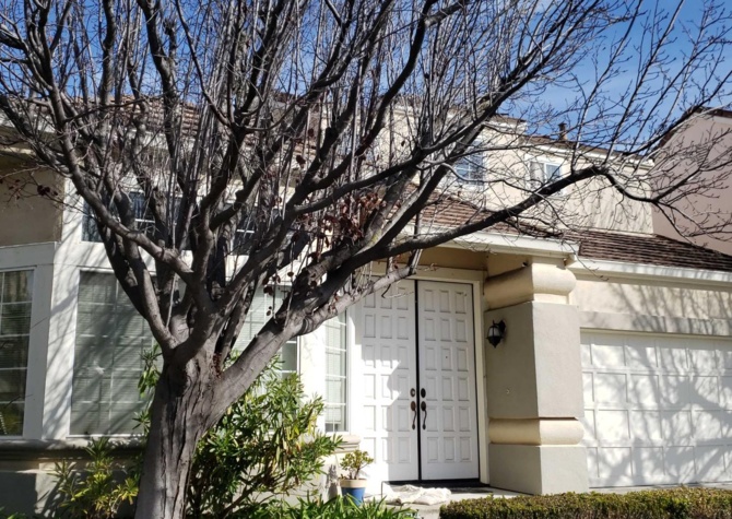Houses Near Coming Soon! 4 Bedroom/ 3 Bath Condo in Fremont