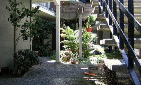 Apartments Near Saint Mary's K11 for Saint Mary's College Students in Moraga, CA