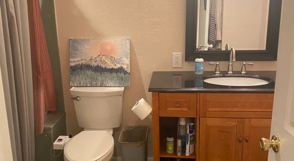 1 bedroom apartment with mountain view for rent in Boulder