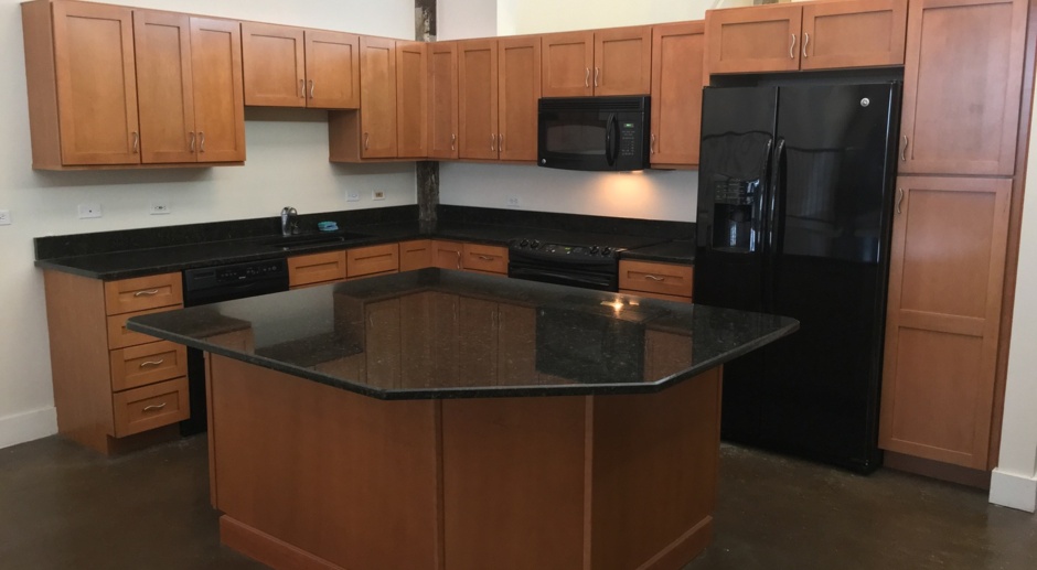 Amazing River Views! 1 BR PLUS Flex room at the  Lofts in South Bluffs