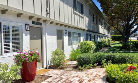 Apartments Near Sunnyvale Village Square Townhouses for Sunnyvale Students in Sunnyvale, CA