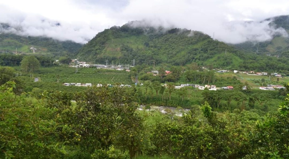 PALOMO FARM FOR RENT AMSI COSTA RICA