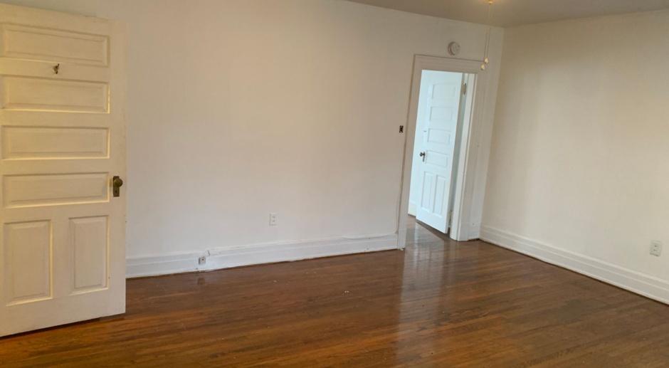 Video in Pictures! 3rd Floor Spacious 1 Bedroom-Downtown York City