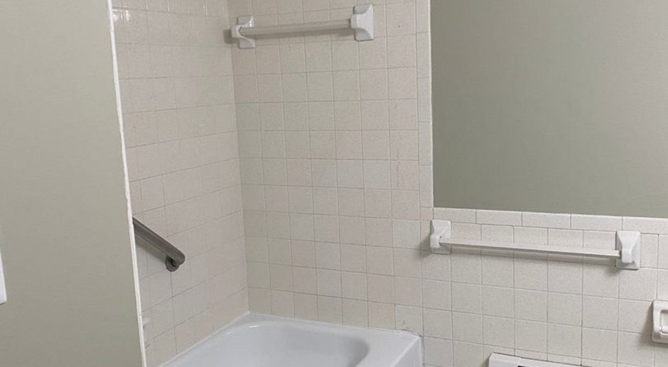 Royal Oak One Bedroom / One Bathroom Apartment