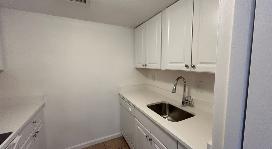 1 BR Condo in Greenbriar Walking Distance to U of M!