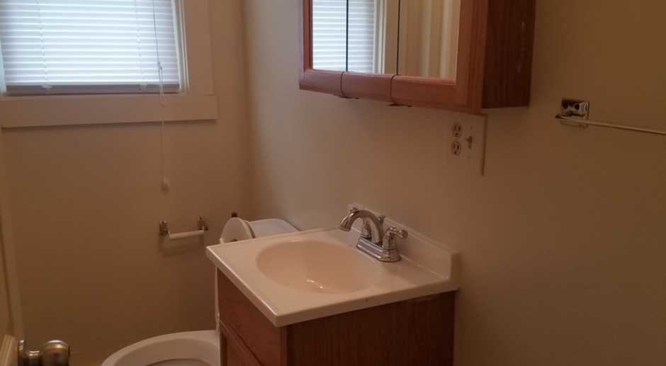 PRELEASING for AUGUST 2024! In-Unit Washer and Dryer 