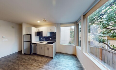 Apartments Near AIS Bright Modern Studio with Murphy Bed and in-unit washer/dryer!!! 1st month FREE! for The Art Institute of Seattle Students in Seattle, WA