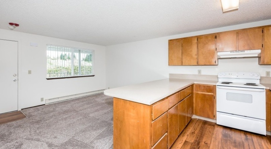 Large One Bedroom Close to Vancouver Mall