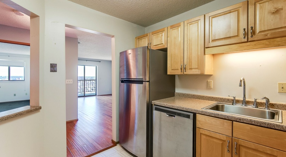 Stunning Unit in The Pointe building in Downtown St. Paul